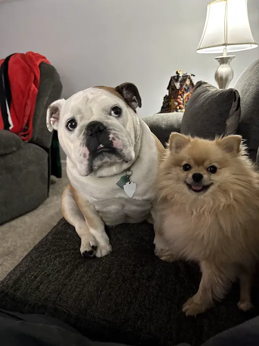 Twin Creek Animal Hospital Picture 7