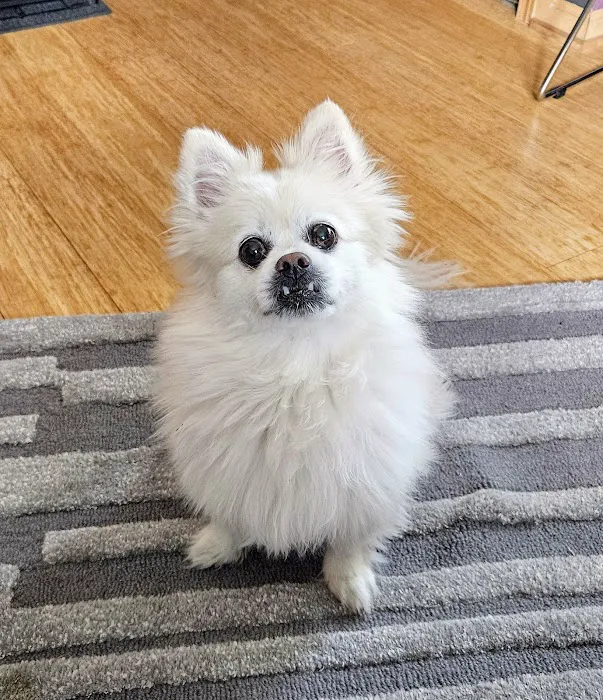 Twin Creek Animal Hospital Picture 10