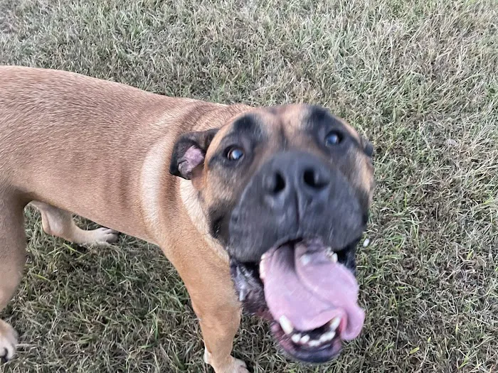 Twin Creek Animal Hospital Picture 9