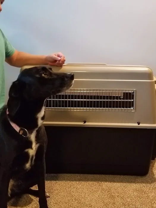 Offutt Veterinary Clinic Picture 1