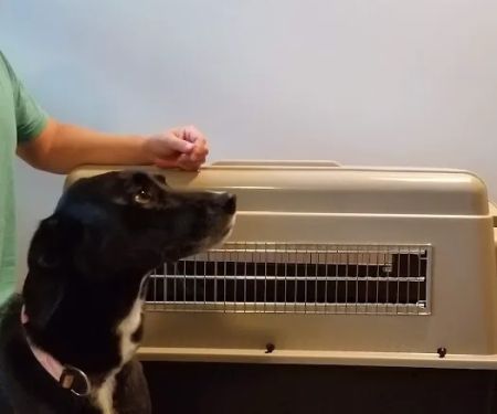 Offutt Veterinary Clinic