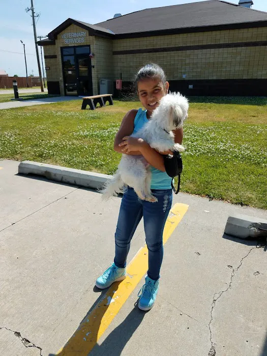 Offutt Veterinary Clinic Picture 3