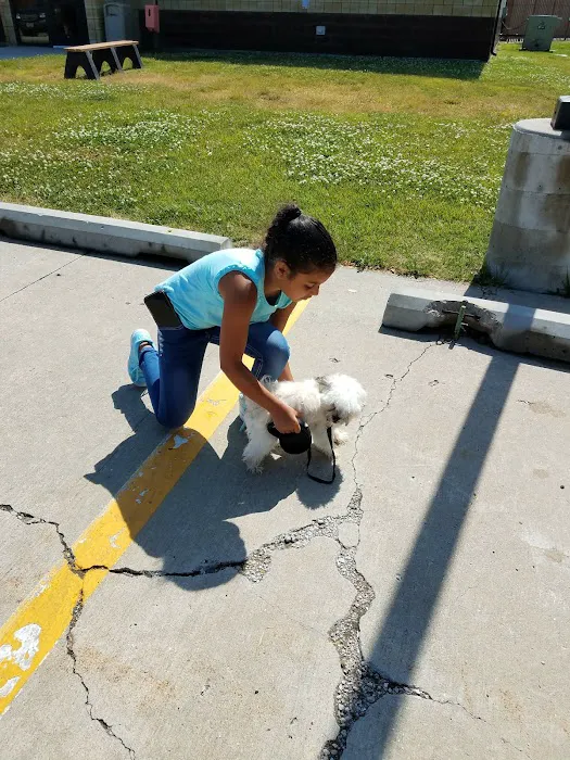 Offutt Veterinary Clinic Picture 4