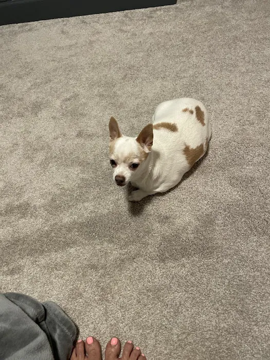 Ralston Vet Picture 1