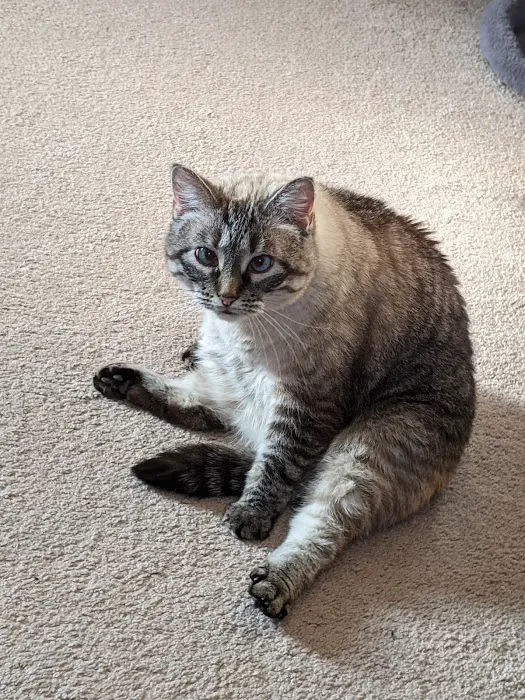 Ralston Vet Picture 6