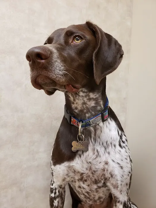 Ralston Vet Picture 10