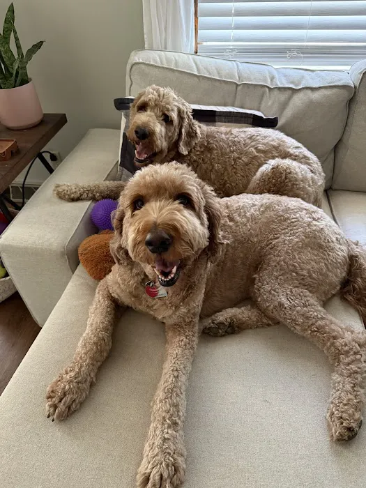 Ralston Vet Picture 9