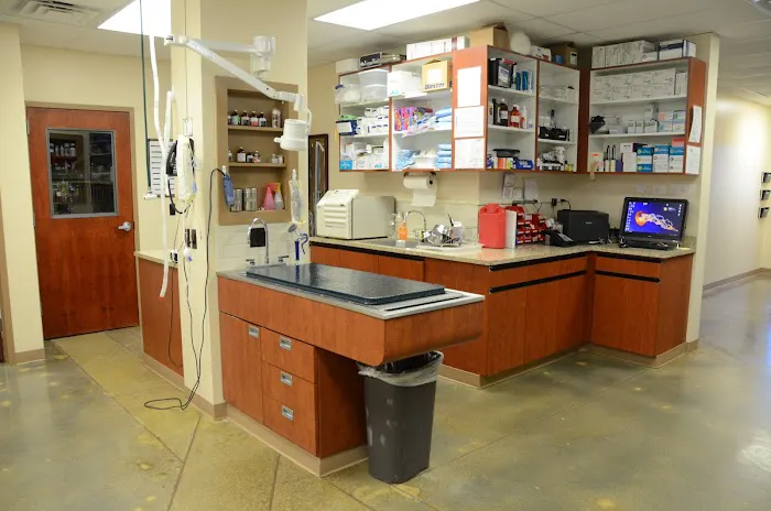 Urgent Pet Care Of Papillion Picture 1