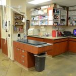 Urgent Pet Care Of Papillion