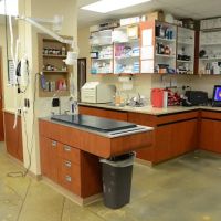 Urgent Pet Care Of Papillion ico