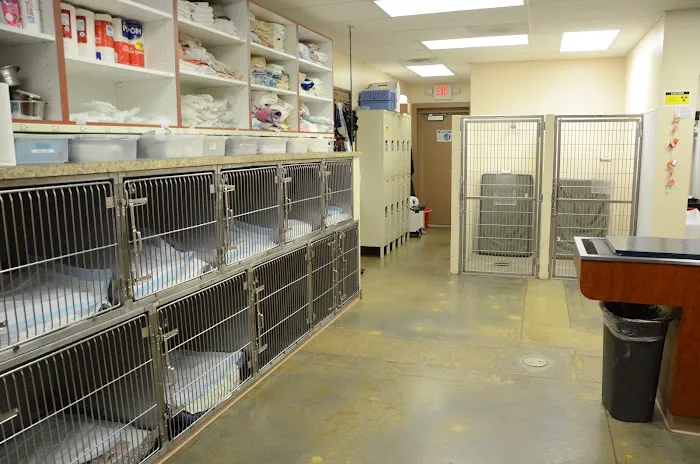 Urgent Pet Care Of Papillion Picture 3