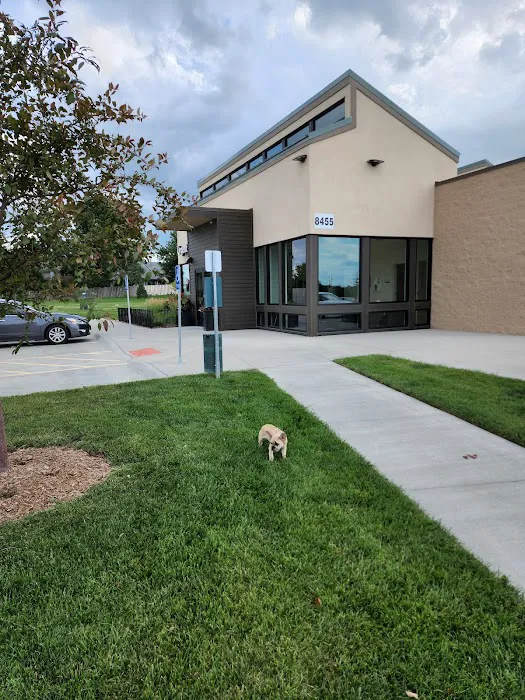 Urgent Pet Care Of Papillion Picture 5