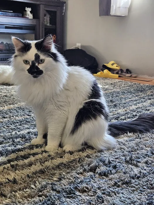 Papillion Animal Hospital Picture 3