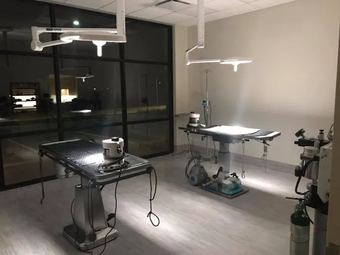 Papillion Animal Hospital Picture 8