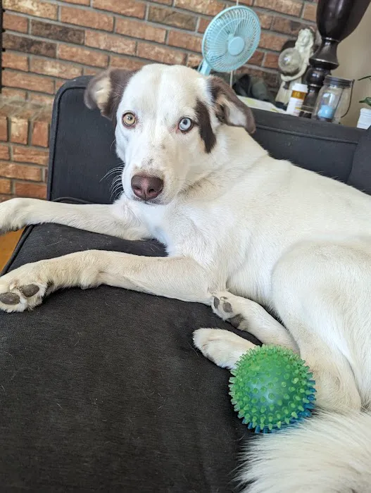 Banfield Pet Hospital Picture 2