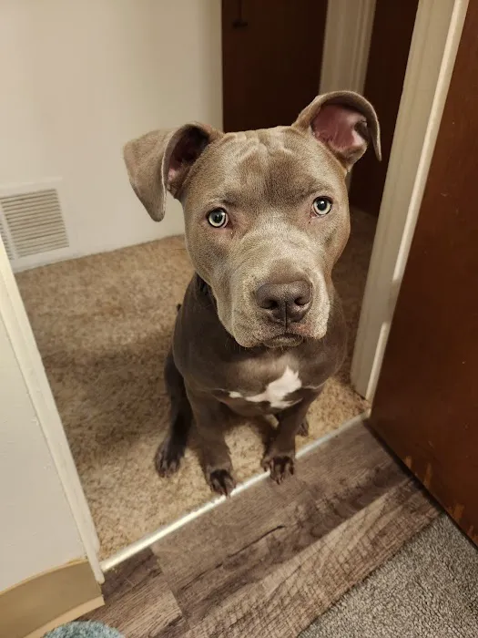 Banfield Pet Hospital Picture 1