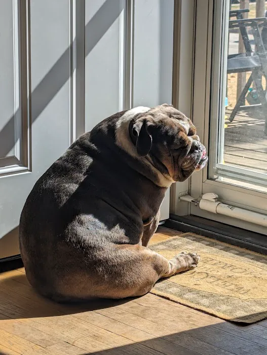 Banfield Pet Hospital Picture 3