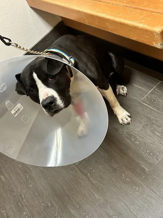 Banfield Pet Hospital Picture 5