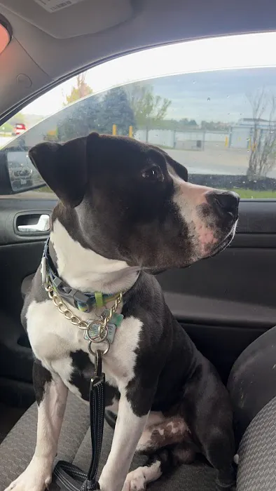 Banfield Pet Hospital Picture 6