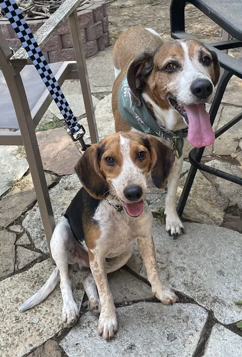 Banfield Pet Hospital Picture 8