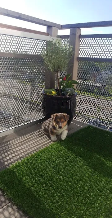 Langley Animal Hospital Picture 9