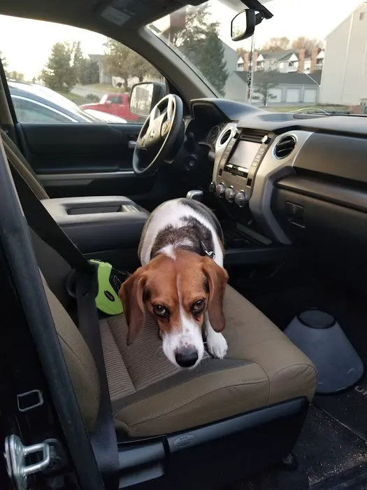 Langley Animal Hospital Picture 8