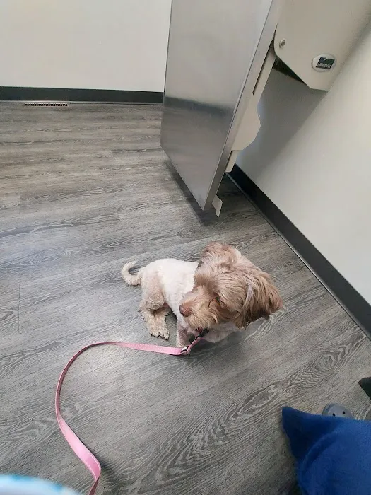 Westgate Animal Clinic Picture 1