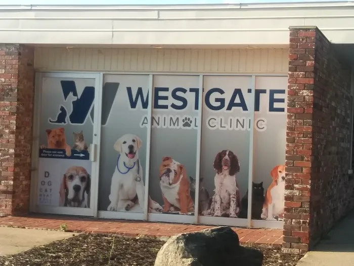 Westgate Animal Clinic Picture 7