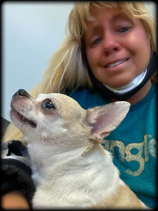 Westgate Animal Clinic Picture 6