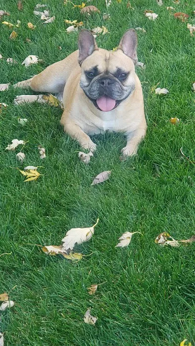 Westgate Animal Clinic Picture 5