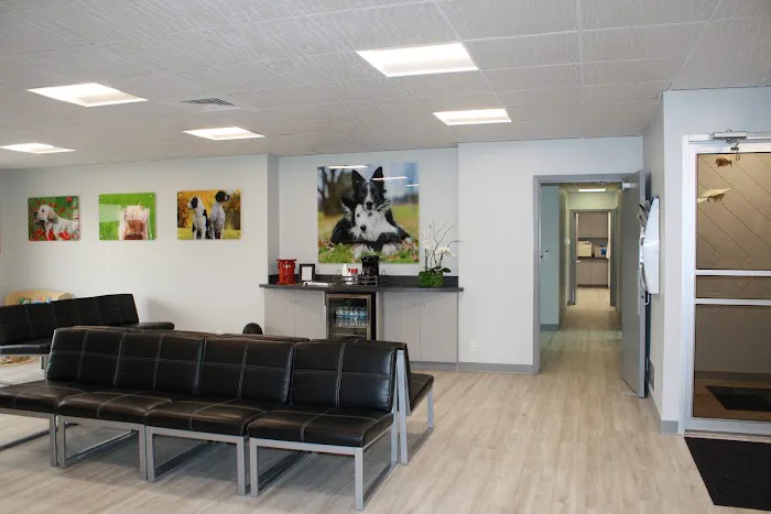 Westgate Animal Clinic Picture 10