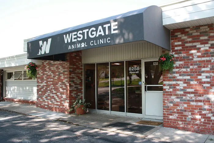 Westgate Animal Clinic Picture 9