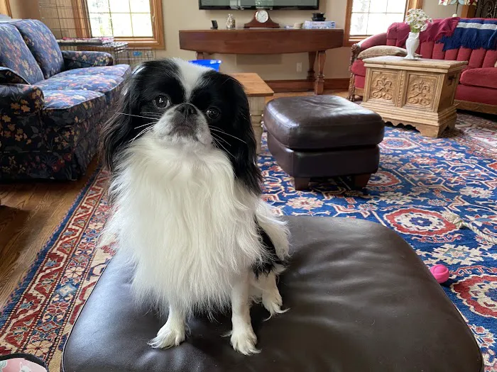 All Creatures Veterinary Clinic Picture 1