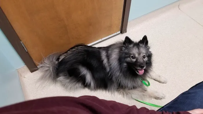 All Creatures Veterinary Clinic Picture 3