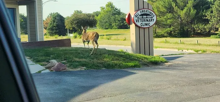 All Creatures Veterinary Clinic Picture 4