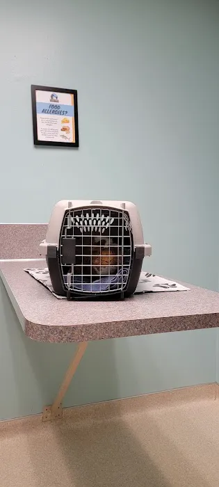 All Creatures Veterinary Clinic Picture 2