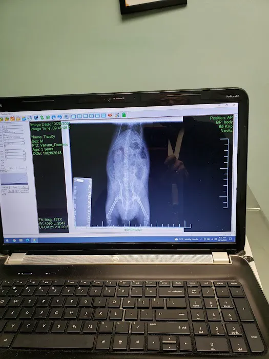 All Creatures Veterinary Clinic Picture 5