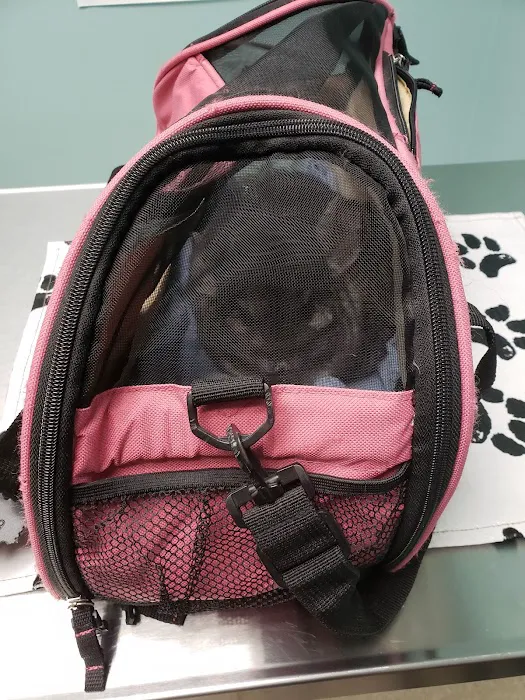 All Creatures Veterinary Clinic Picture 7