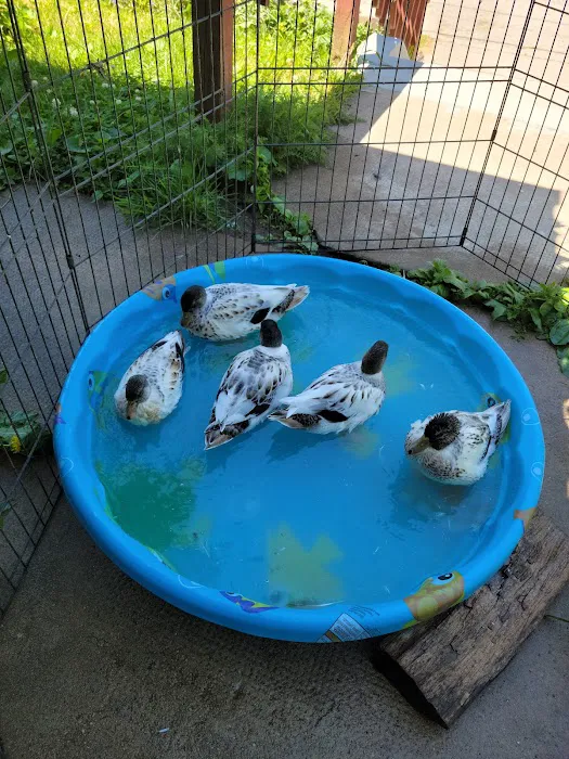 All Creatures Veterinary Clinic Picture 8