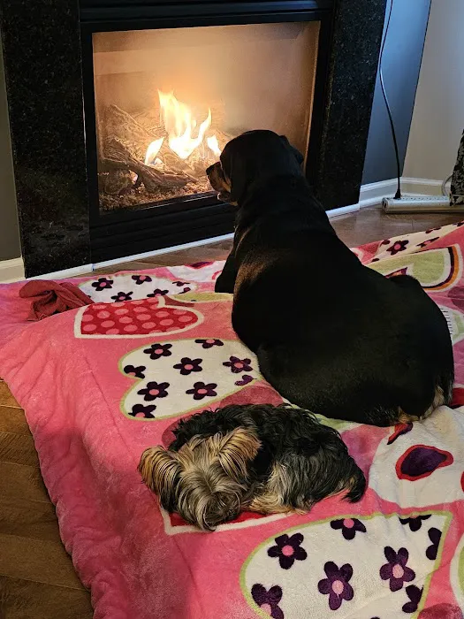 Omaha Pet Vaccination Clinic Picture 4