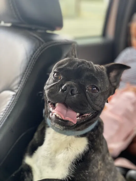 Omaha Pet Vaccination Clinic Picture 3