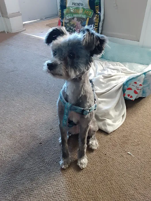 Omaha Pet Vaccination Clinic Picture 9