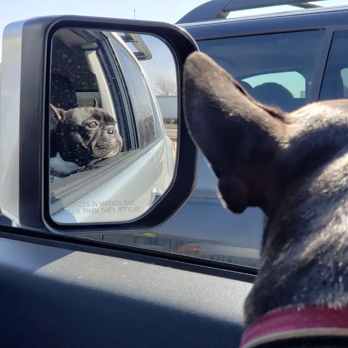Omaha Pet Vaccination Clinic Picture 10
