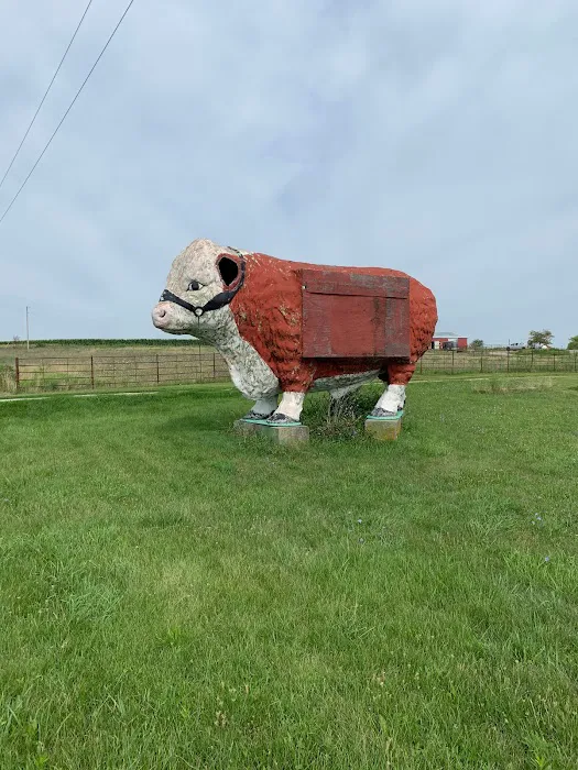 Town and Country Animal Clinic- Veterinarian Picture 3