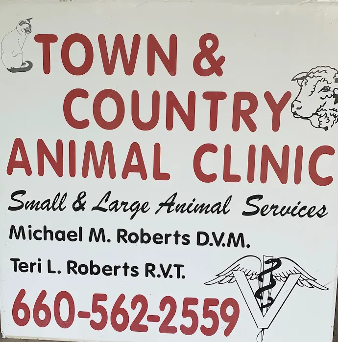 Town and Country Animal Clinic- Veterinarian Picture 2