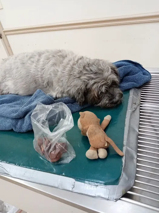 Nodaway Veterinary Clinic Picture 2