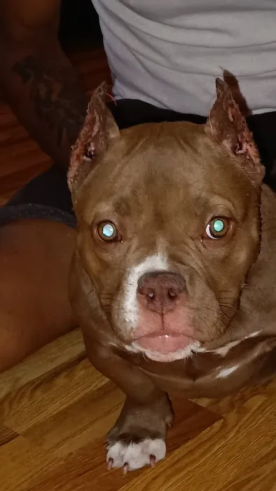 Nodaway Veterinary Clinic Picture 1