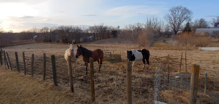 Nodaway Veterinary Clinic Picture 4