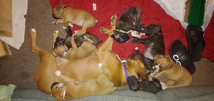 Nodaway Veterinary Clinic Picture 5