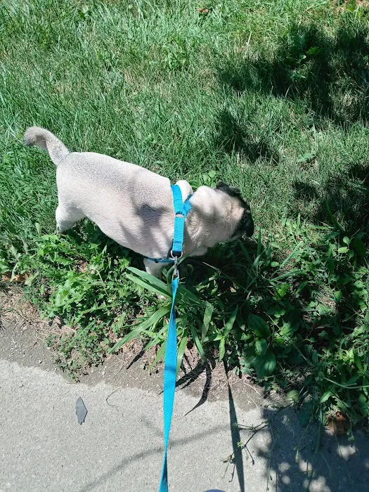 Nodaway Veterinary Clinic Picture 7